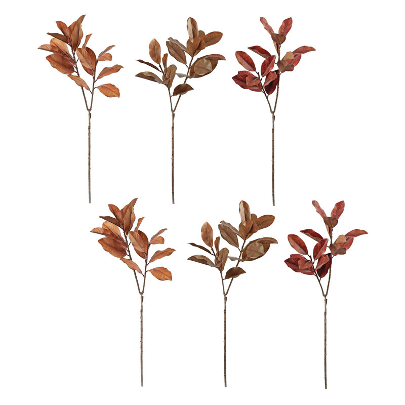 Automne feuille de magnolia