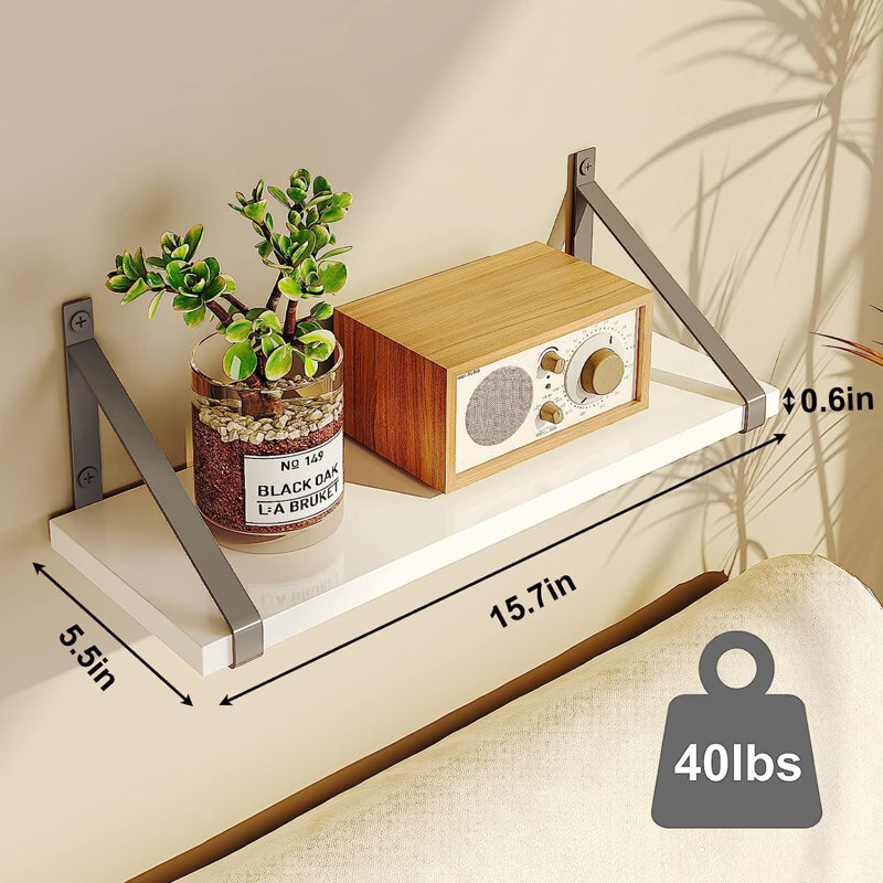 Castulo 3 Piece Plastic / Acrylic Floating Shelf, Gray