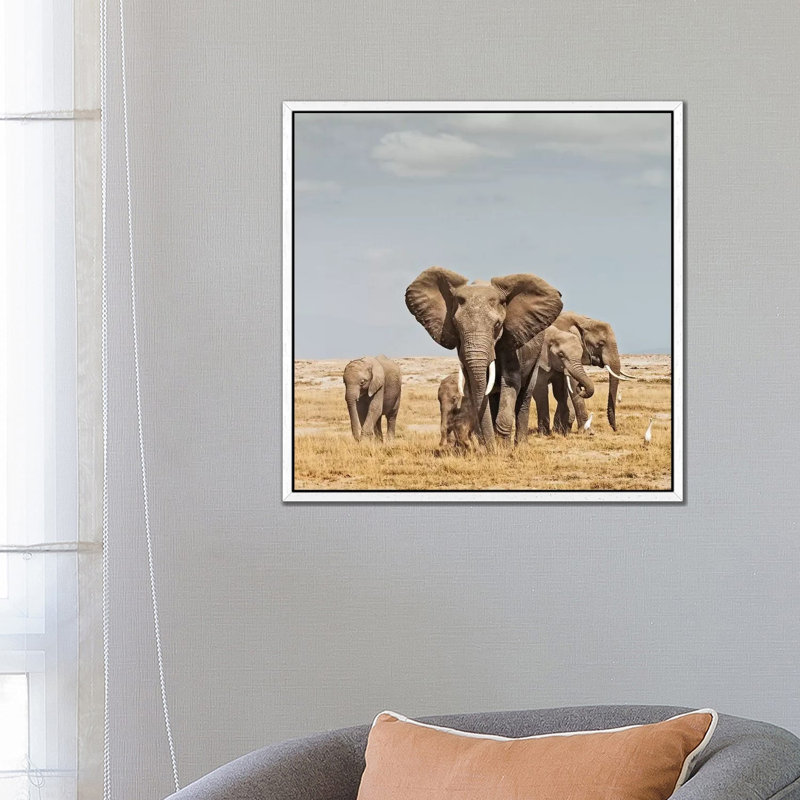 Colour Elephant Herd by Klaus Tiedge - Print on Canvas, White Framed, 66.04 cm H x 66.04 cm W