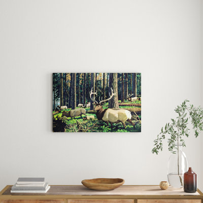 Wrapped Canvas Print