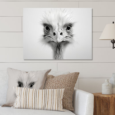 Africa Ostrichs Grace II - Animals Print on Metal