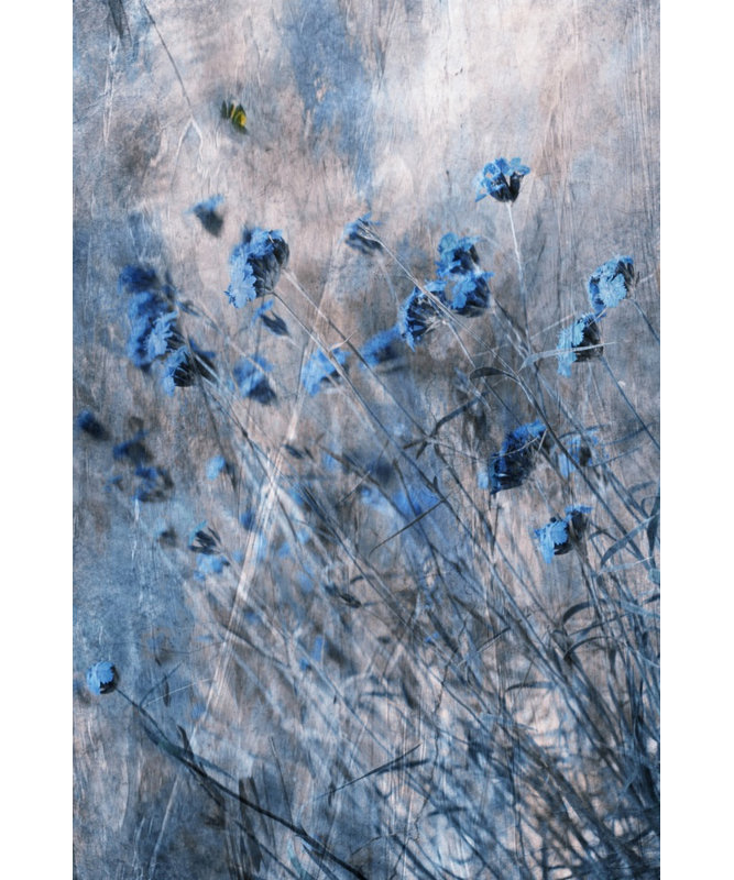 Wrapped Canvas Print, 81.28 cm H x 121.92 cm W