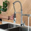 Belfry Kitchen Allia Pull Down Kitchen Faucet