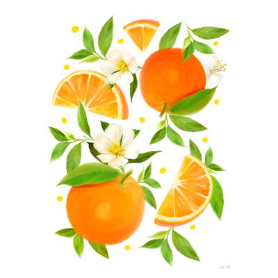 «Citrus Orange Botanical», reproduction sur toile tendue