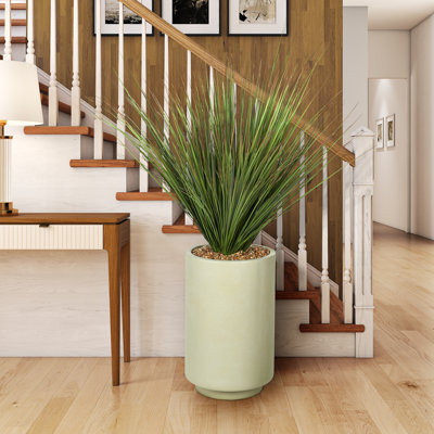 4.5' Onion Grass in Rainey Planter