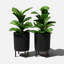 Jardinière Demi Series avec support-83889251-97745288-83889253