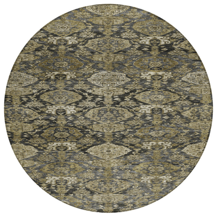 Segin Area Rug with Non-Slip Backing