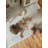 Ofie 55'' L Foam Playmat