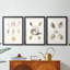 Pastel Knorr Shells I - impression encadrée sur mesure de qualité supérieure - 3 pièces-1138396166-1138396216