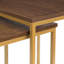 Azriel Frame Nesting Tables