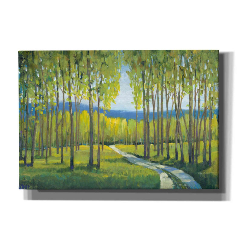 «Morning Stroll I» par Tim O'toole, art mural sur toile, H 18 po x l 26 po x P 0,75 po