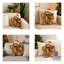 Brown Novelty Throw Cushion