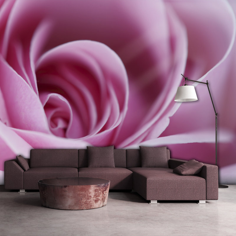 Pink Rose 309cm x 400cm Wallpaper, 350 cm x 270 cm