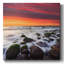 Sur toile-240868517