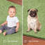 Tapis lime Amberleigh