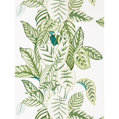 Calathea 10.05m x 68.6cm Matte Wallpaper Roll