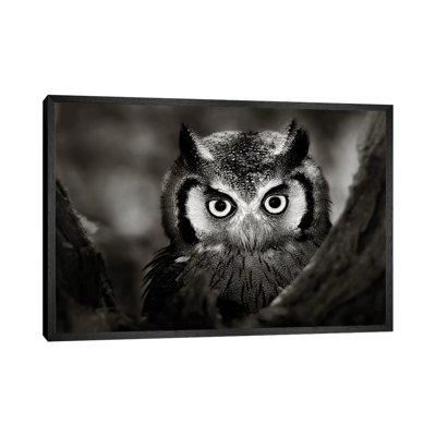 White-Faced Owl by Johan Swanepoel - Print on Canvas
