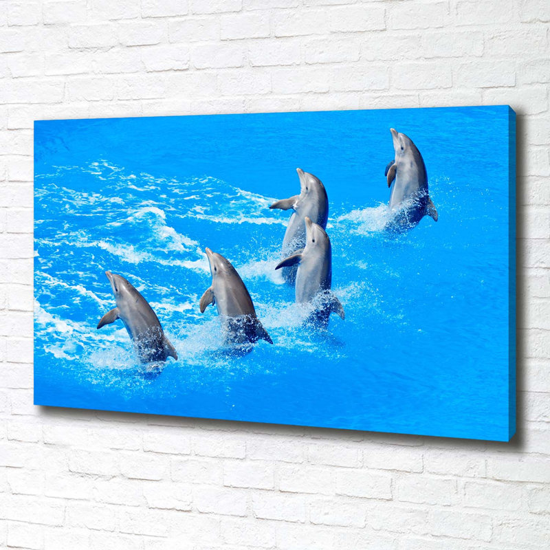 Dolphins - Wrapped Canvas Print