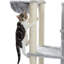 Derosa 65.4'' H Cat Tree