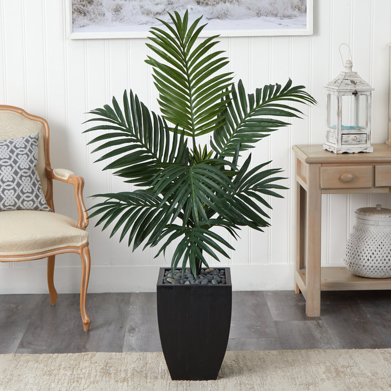 Plante de palmier en pot 38,5 po kentia