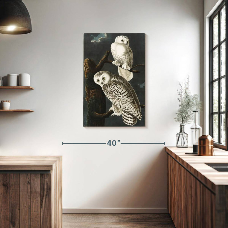 Brampt Snowy Owls, 36" H x 24" W