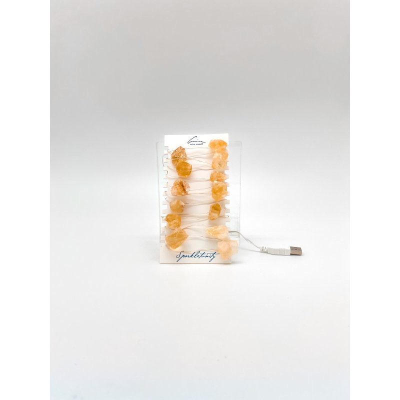 Dajonna Indoor 20 - Bulb 78.72'' Plug-in LED Fairy String Light, Orange