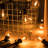 50ft 50-Bulb Outdoor Globe LED String Light Shatterproof Connectable 2200K