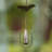 Weather Resistant Plants & Flowers Rain Chain