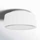 3 Light Semi Flush Mount