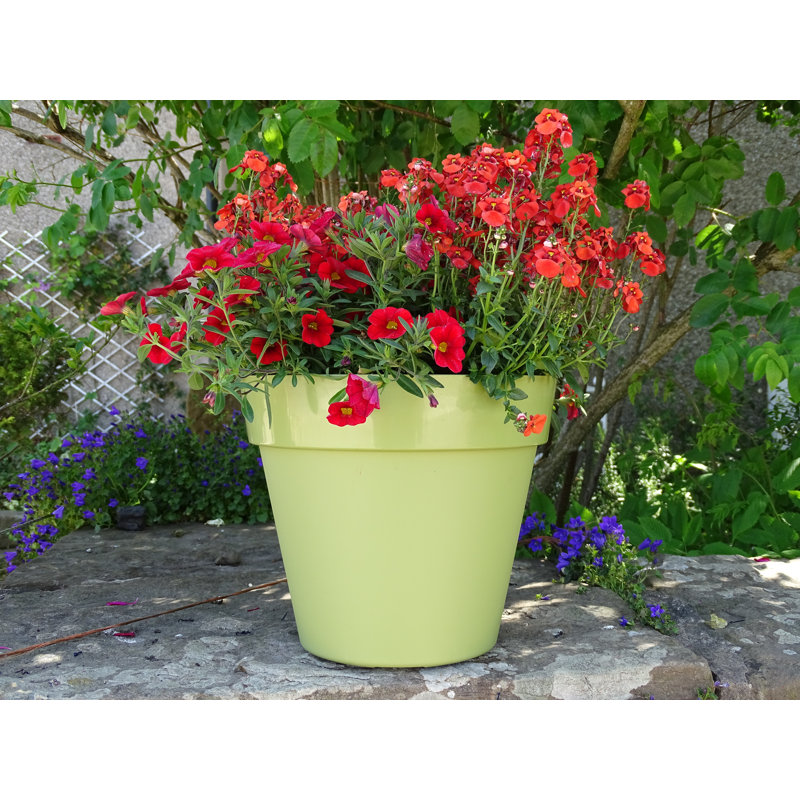 Bojorquez Pot Planter, 28cm H x 29cm W x 29cm D, Sage