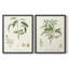 Impression encadrée botanique antique I-Premium - prête à être accrochée - aucun clou requis-1627489717-1627489718