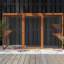 Cat Cage-979228127