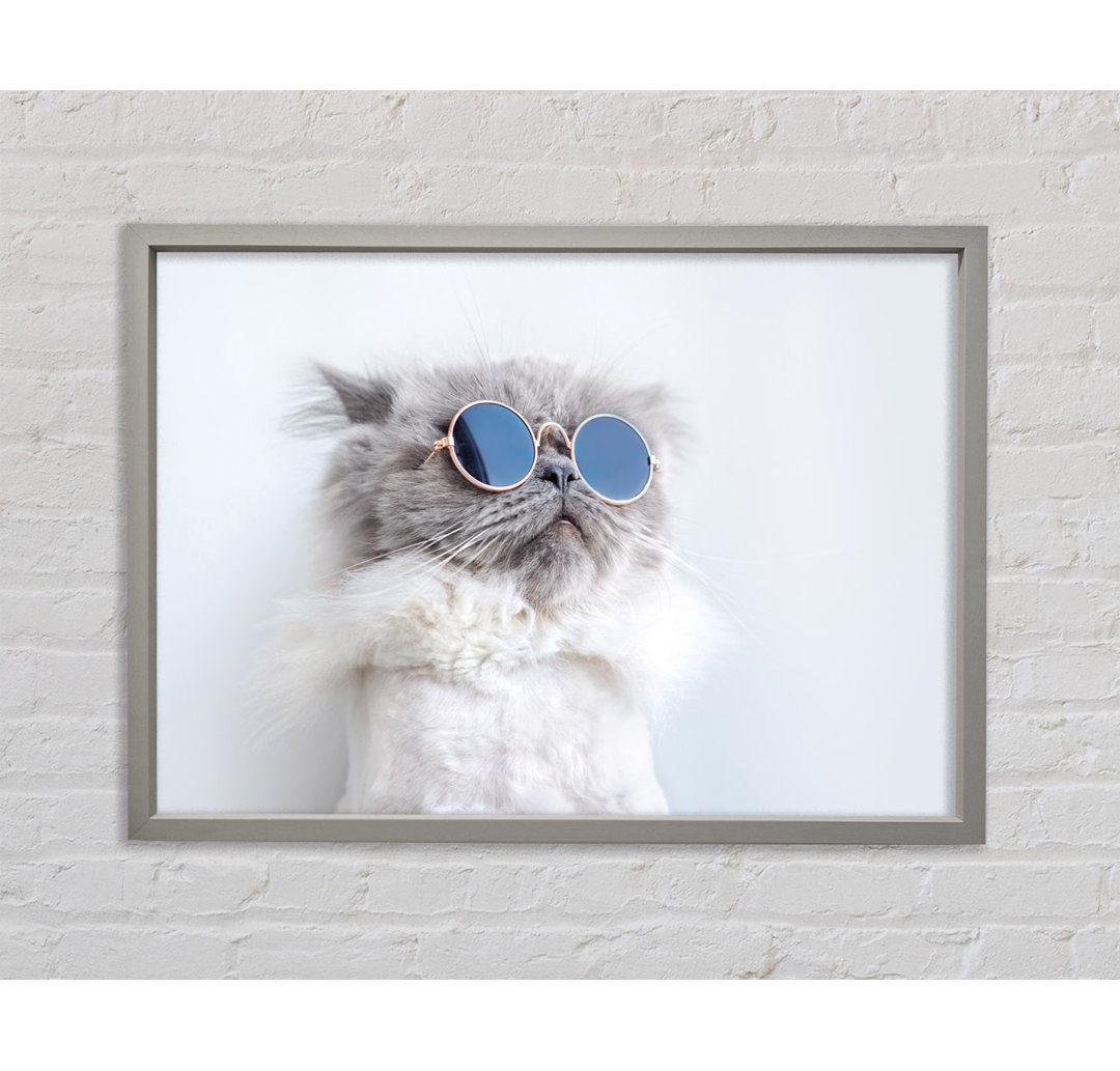 Die Katze mit Brille - Einzelne Bilderrahmen Kunstdrucke auf Leinwand