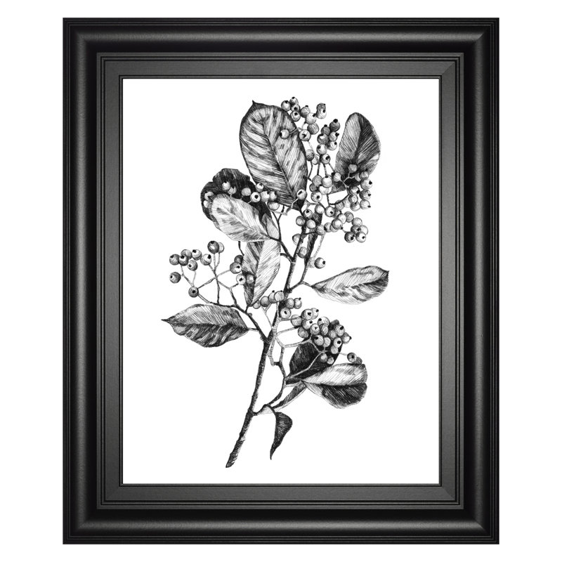 Art mural croquis botaniques - 22 po x 26 po - cadre noir