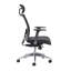 Mesh Task Chair