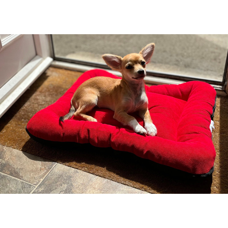 Vera Polyester Pet Bed, 50cm H x 35cm W x 8cm D, Cherry Red
