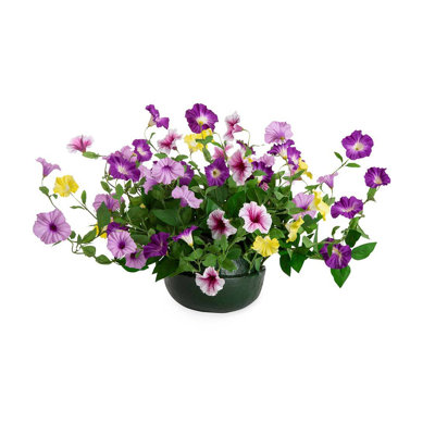 Petunia Mixed in Basket