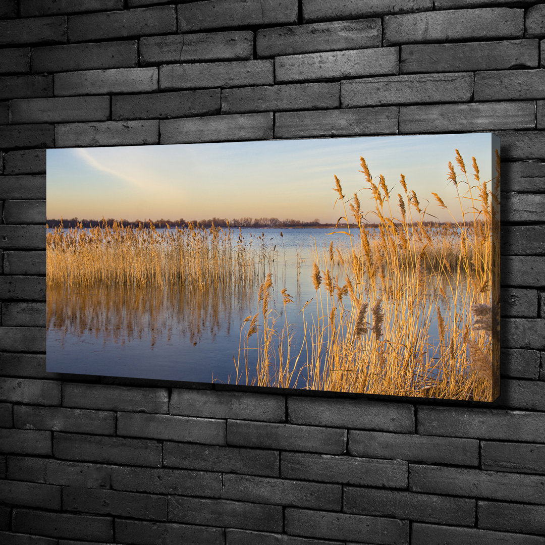 Watercane - Kunstdrucke auf Leinwand - Wrapped Canvas