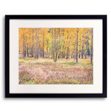 Autumn Field And Tree Grove Print by Bruce Heinemann