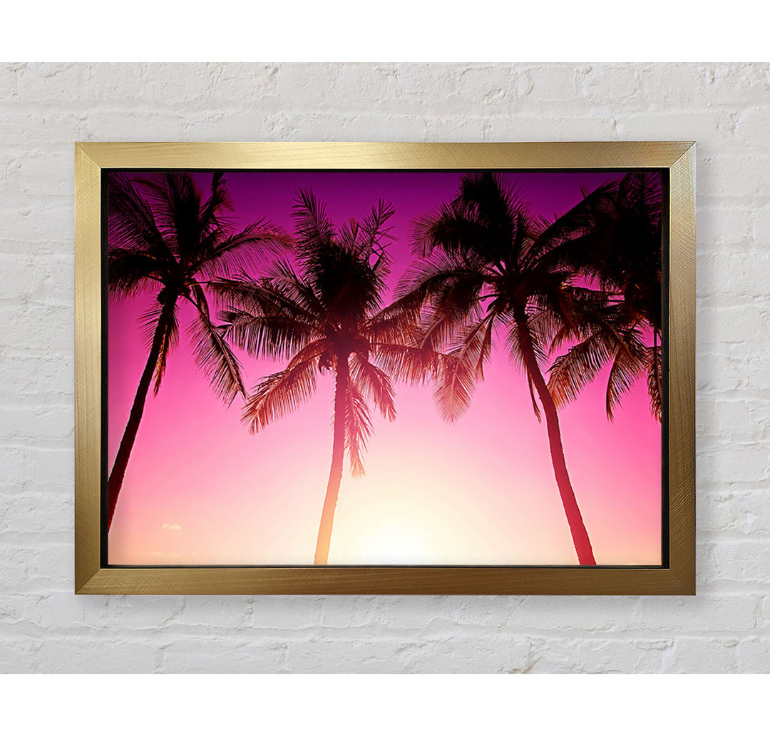 Los Angeles Sunset Palms - Druck