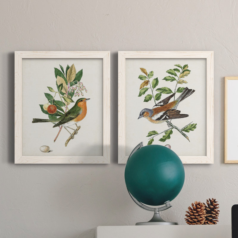Oiseau antique, botanique et œuf sur toile encadrée, prêt à accrocher, H 24 po x l 36 po x P 1,5 po, Toile blanche encadrée