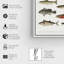 Poisson américain - peinture sur toile-61815334-61815335