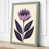 Sage Border