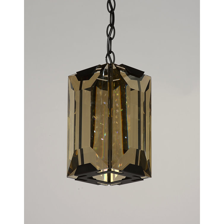 Schaeffer 1 - Light Unique/Statement Pendant