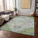 Machine Washable Indoor/Outdoor Chayden ACN985 Rug