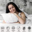 Super Dreamer Solid Colour Pillowcases 4 Pair 50x75 cm - Polyester Machine Washable High Yarn Quality Bedding-118161197