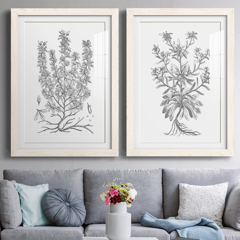 «B&W Plant Spechantillon», reproduction encadrée de qualité supérieure - prête à être accrochée, Blanc