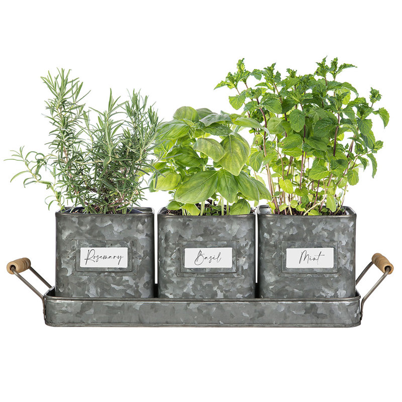 Cockrell Metal Pot Planter