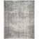 Fallsburg Performance Oriental Rug
