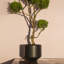 Handmade Ceramic Planter-426443254-426443250